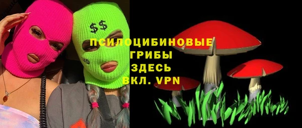 молекула духа Алексеевка