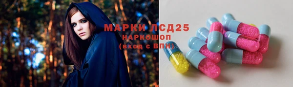 молекула духа Алексеевка